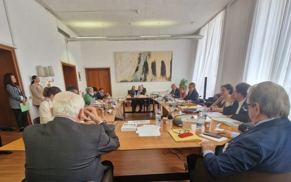 CGIE: 7 milioni di italiani all’estero, la politica non li dimentichi