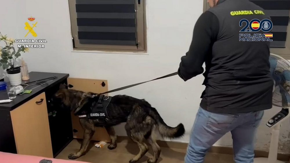 Tenerife. Cinque persone arrestate per aver commesso diversi furti