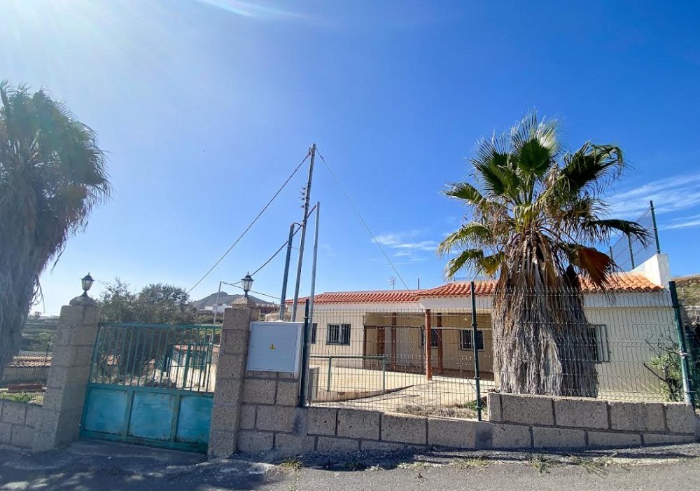 San Miguel de Abona: creazione di un Centro Público de Protección Animal