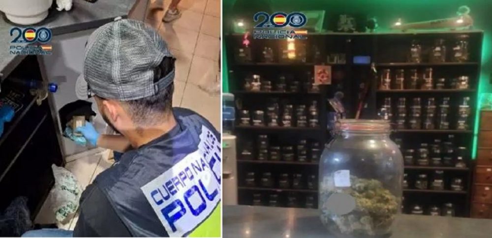 6 gli arrestati. Individuate associazioni illegali di cannabis nel sud di Tenerife