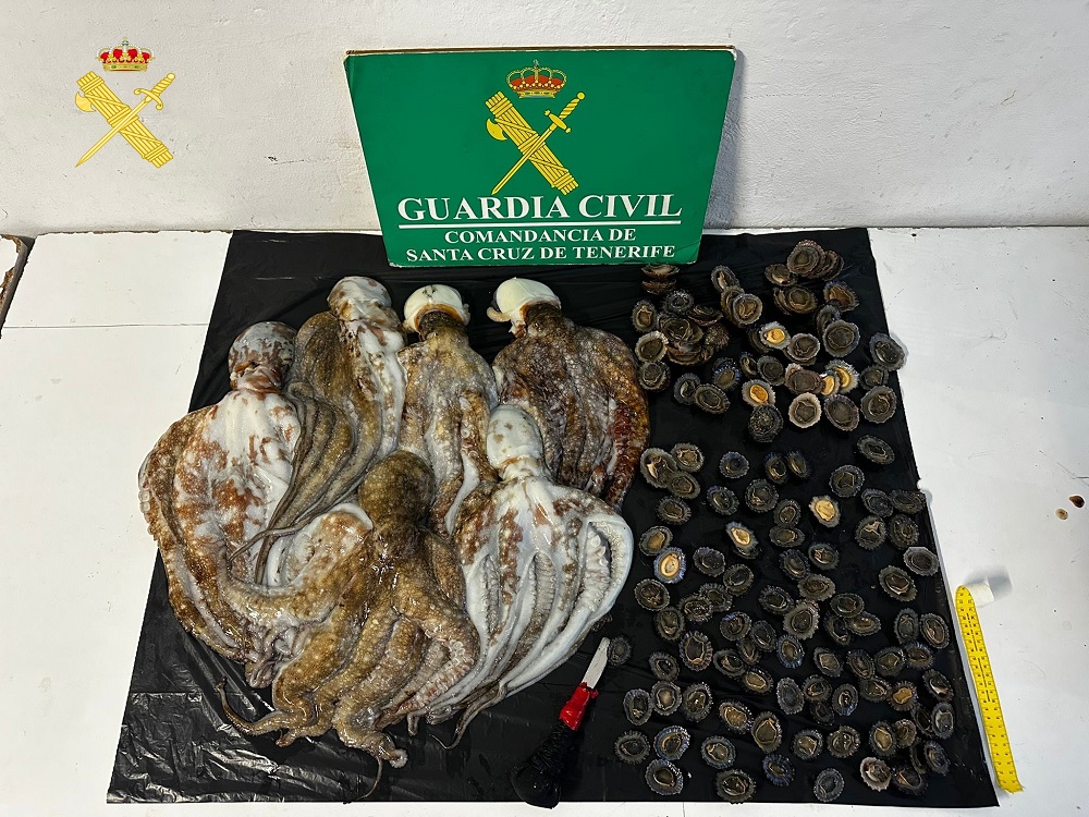 Tenerife. La Guardia Civil sorprende tre uomini che pescano illegalmente