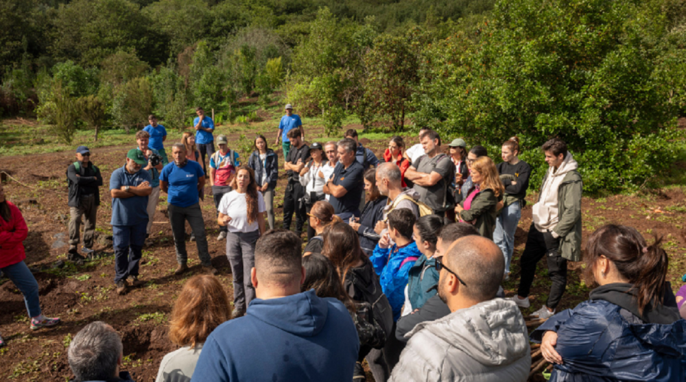 Riforestazione. Rigenerare parte dell’ecosistema di Gran Canaria