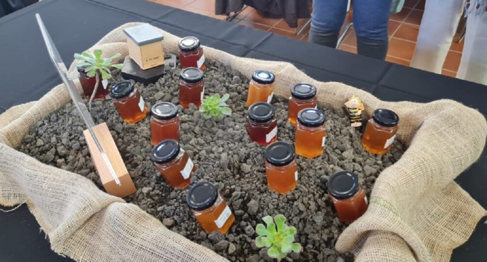 Tenerife e El Hierro: vincitori del XXVIII Concorso Regionale del Miele