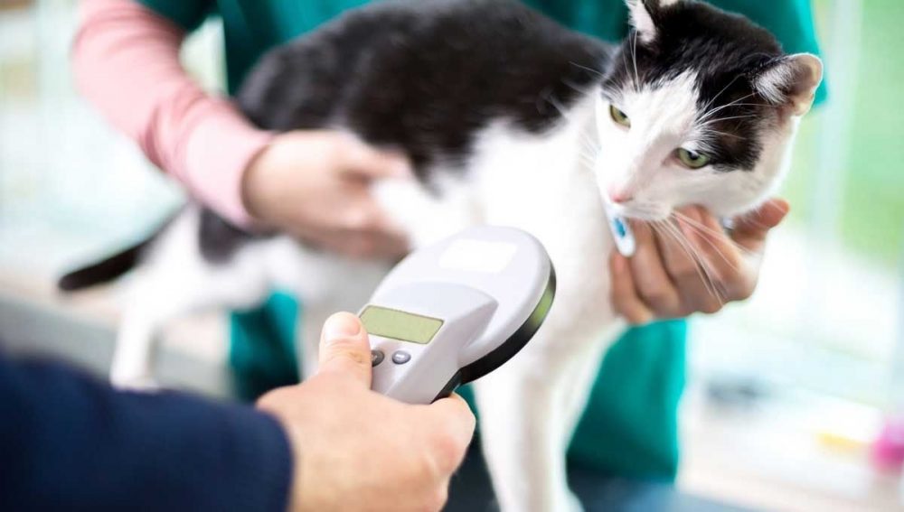 Granadilla informa sull’obbligo di identificare e registrare gli animali domestici