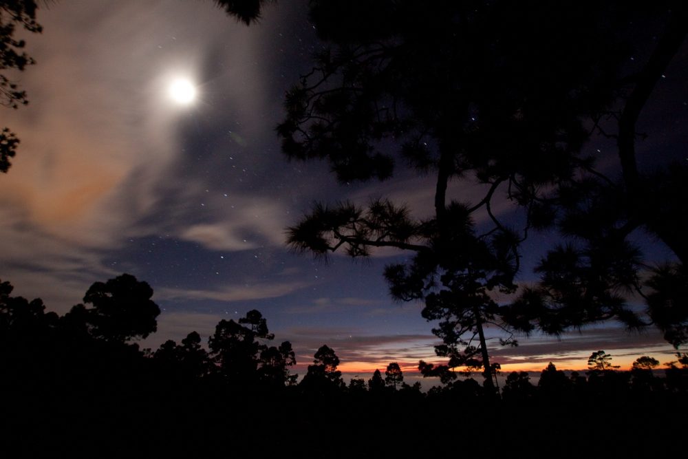Sempre più italiani si trasferiscono alle Canarie.