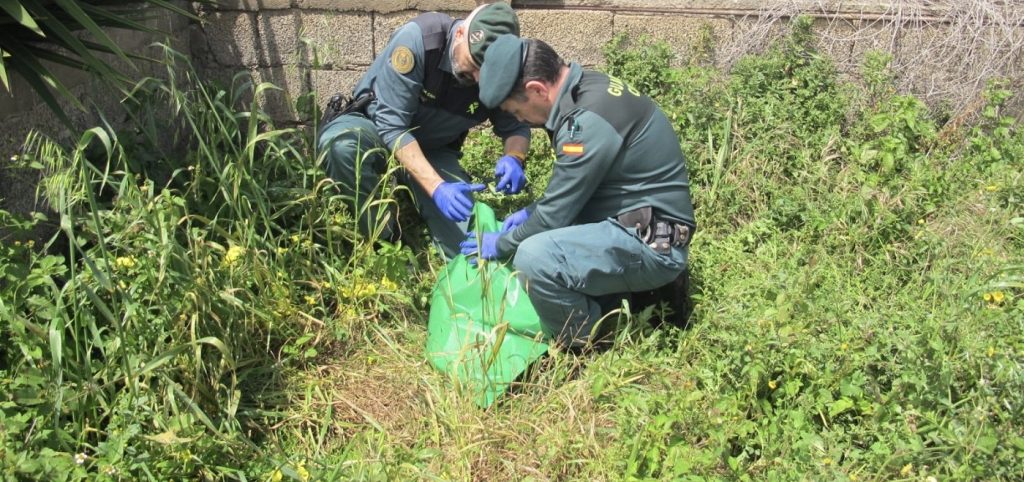 La Guardia Civil identifica l'autore che ha decapitato un cane