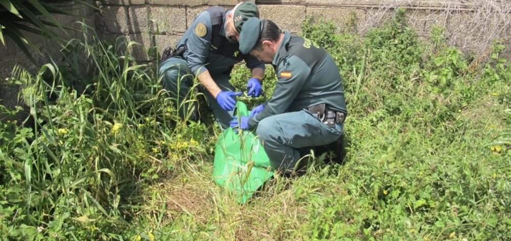 La Guardia Civil identifica l’autore che ha decapitato un cane