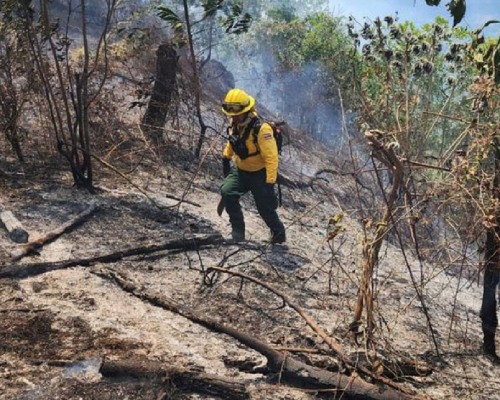 Canarie. La lotta agli incendi boschivi mobiliterà 2.000 uomini
