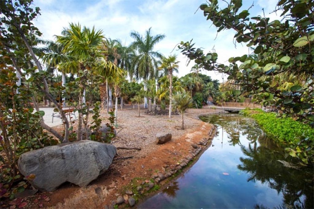 Il Palmetum di Tenerife collabora con una decina di giardini botanici