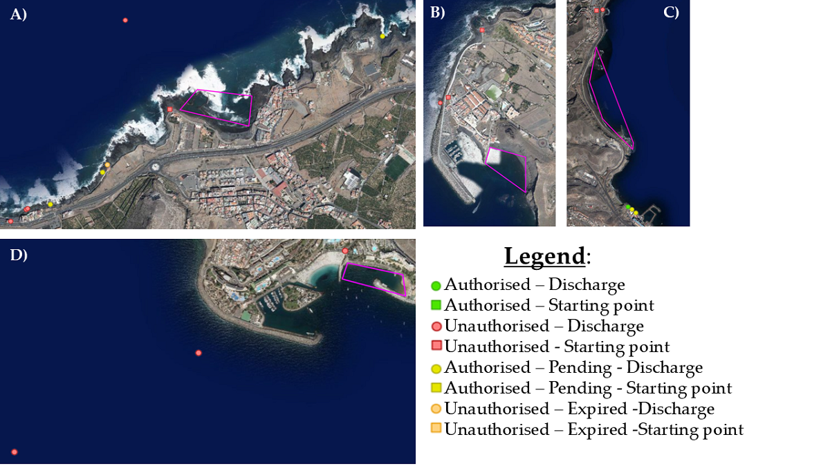Gran Canaria. Uno studio rileva microplastiche in esemplari del granchio invasivo