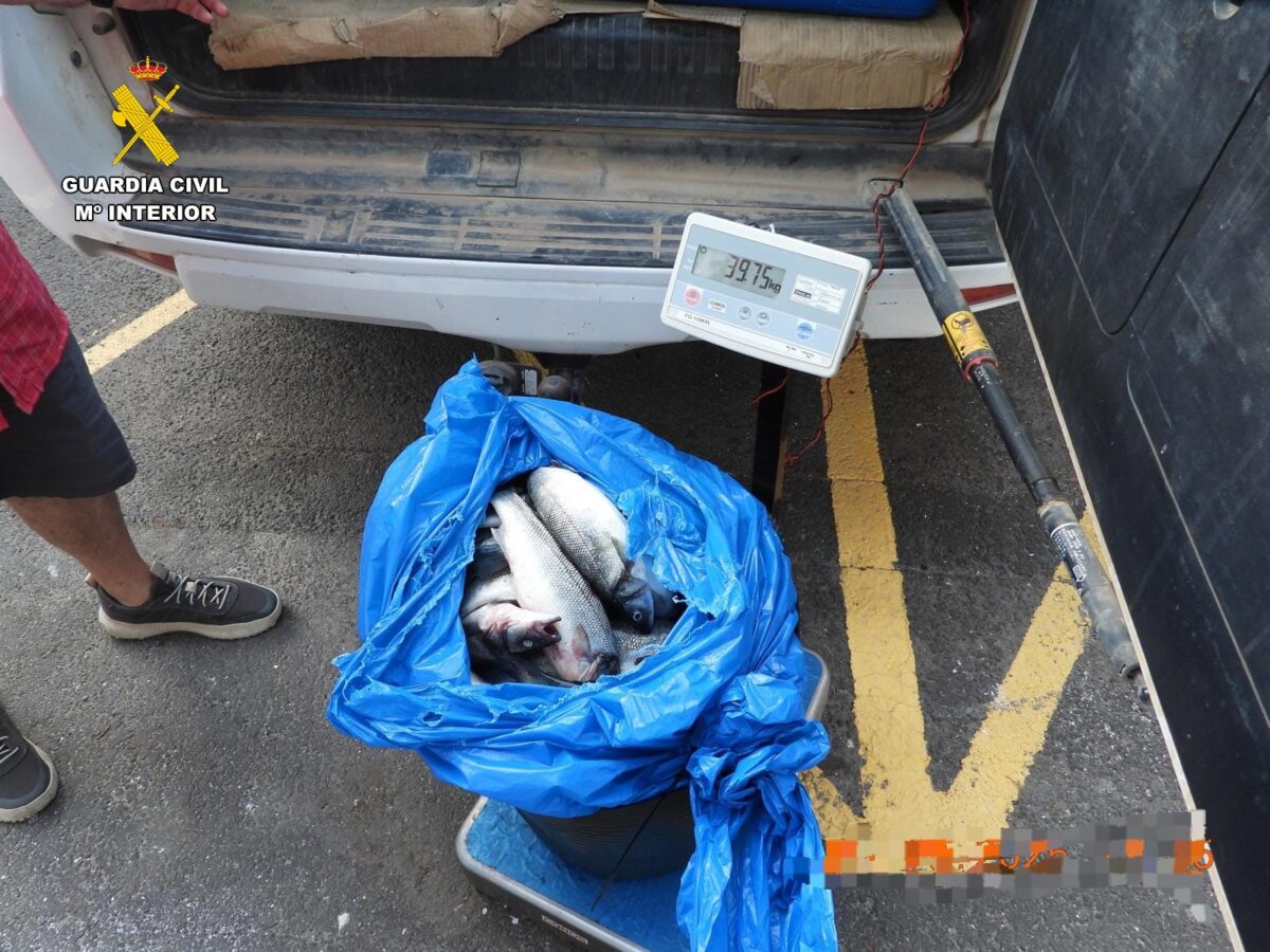 Cinque arresti per furto ripetuto di spigole d’allevamento nel sud di Tenerife