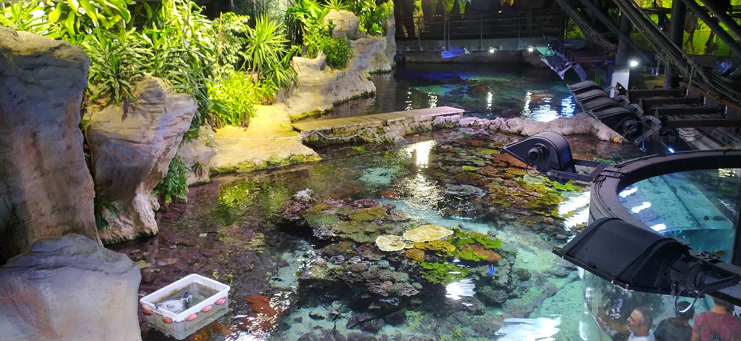Il brevetto ECOAQUA ottimizza la raccolta delle uova nei grandi acquari pubblici
