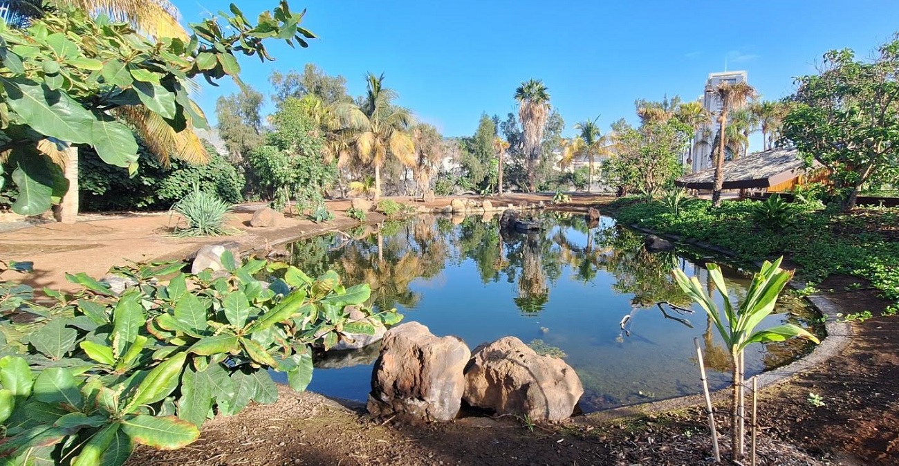 Santa Cruz rafforza la biodiversità urbana: al Palmetum un progetto per la tutela dell’avifauna