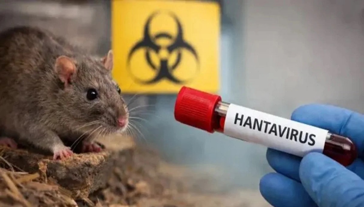 Hantavirus: cos’è e perché preoccupa le Canarie