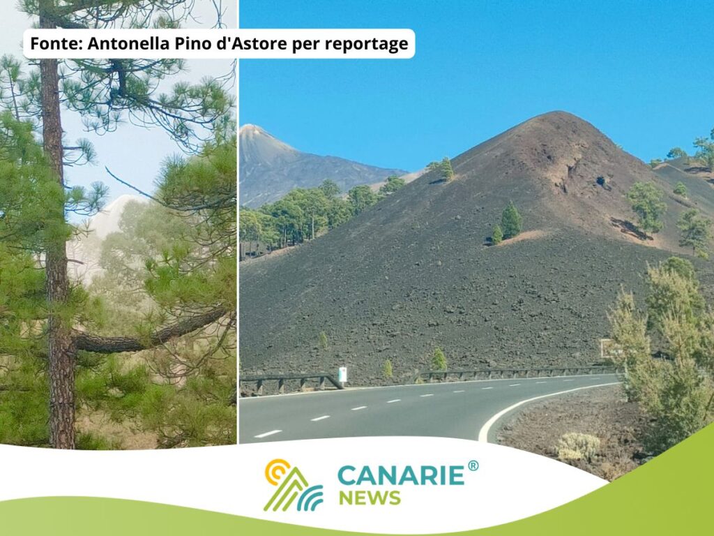 Chío, la notte in cui Tenerife cambia volto