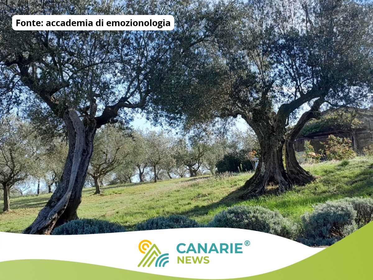 Da Gran Canaria all’Umbria: ritrovare sé stessi tornando a casa.